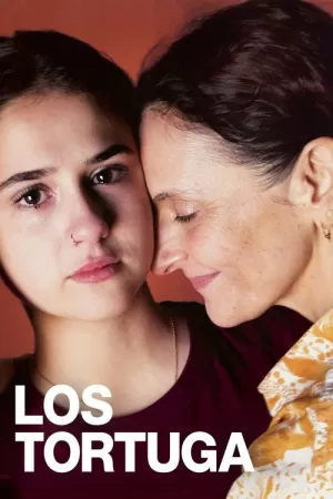 《海龟们》海报