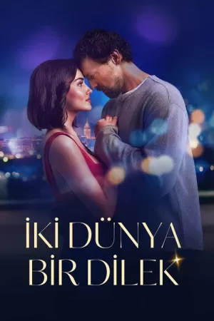 《两个世界一个愿望》海报