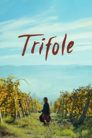 《Trifole》海报