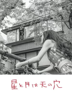 《星と月は天の穴》海报