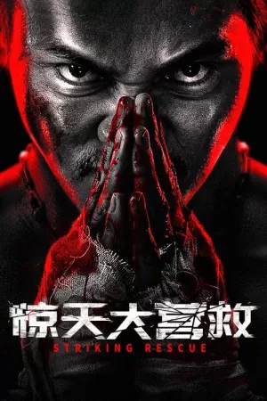 《惊天大营救》海报