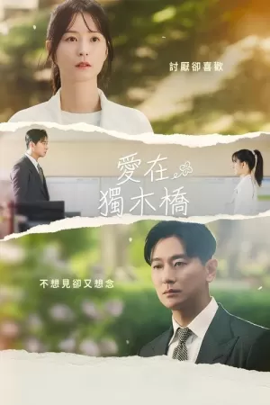 《爱在独木桥》海报