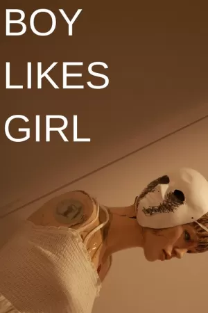 《Boy Likes Girl》海报