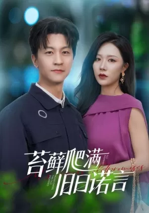 《苔藓爬满旧日诺言》海报