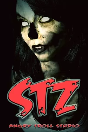 《STZ》海报