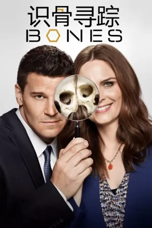 《识骨寻踪》海报