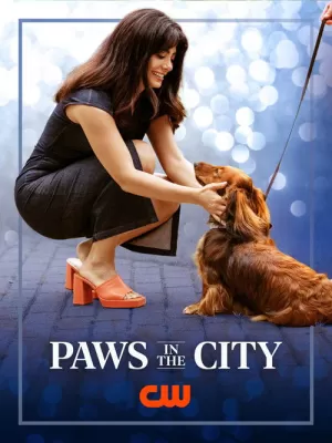 《Paws in the City》海报