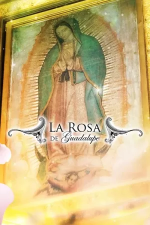 《La rosa de Guadalupe》海报