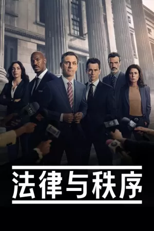 《法律与秩序》海报