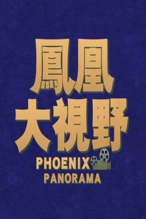 《凤凰大视野》海报