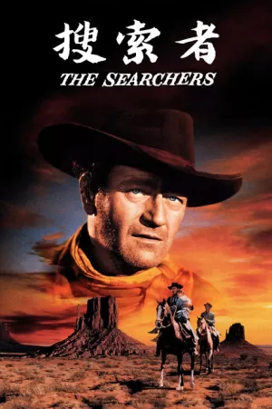 《搜索者》海报