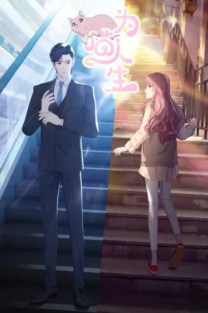 《为喵人生》海报