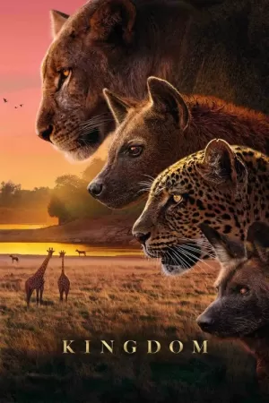 《动物王国》海报