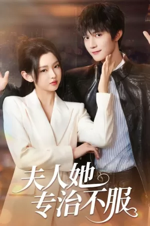 《夫人她专治不服》海报