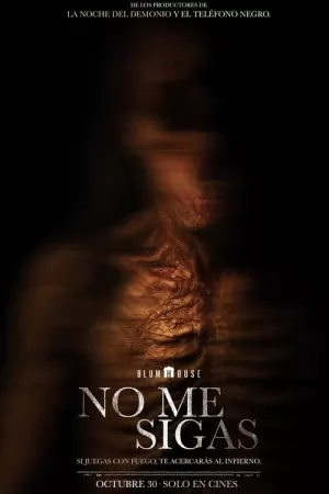《No Me Sigas》海报