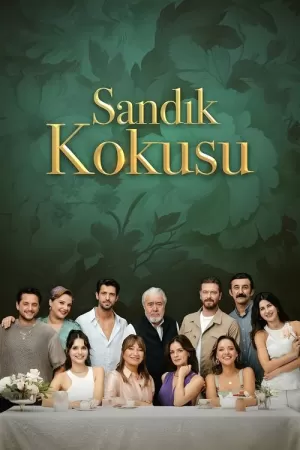 《Sandık Kokusu》海报