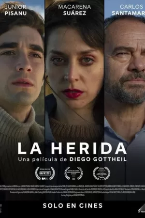 《La herida》海报
