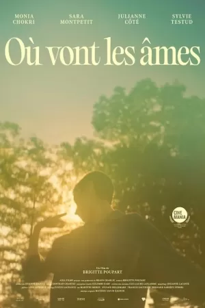 《Où vont les âmes?》海报