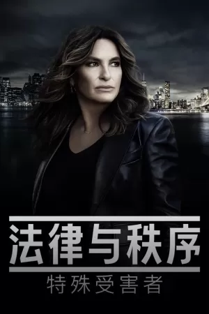 《法律与秩序:特殊受害者》海报