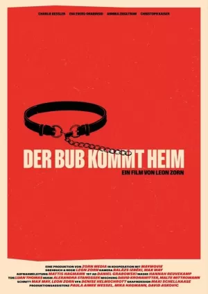 《Der Bub kommt Heim》海报