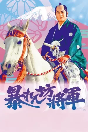 《吉宗评判记 胡闹将军》海报