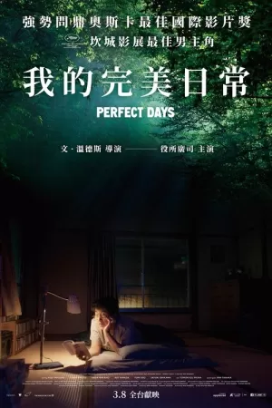 《完美的日子》海报