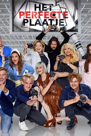 《Het Perfecte Plaatje》海报