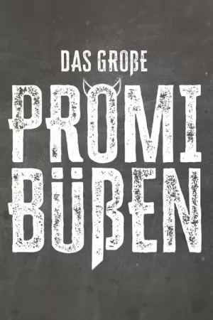 《Das große Promi-Büßen》海报