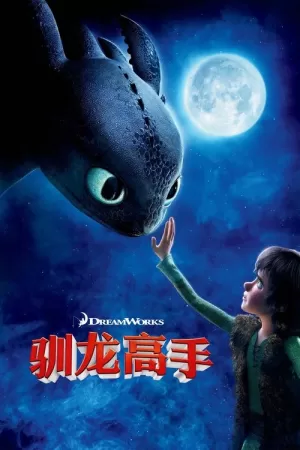 《驯龙高手》海报