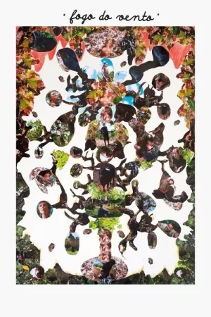 《Fogo do Vento》海报