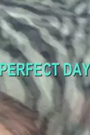 《Perfect Day》海报