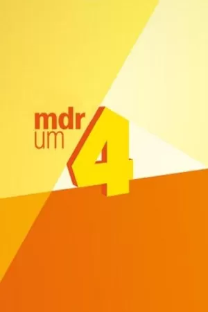 《MDR um 4》海报