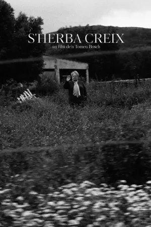 《S'Herba Creix》海报