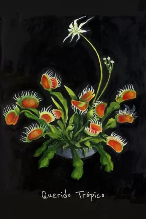 《挚爱的热带》海报