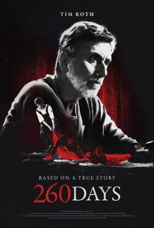 《260 dana》海报