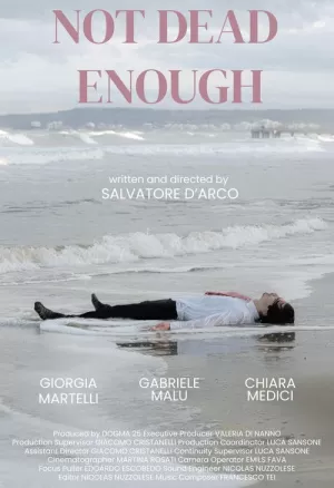 《Not dead enough》海报