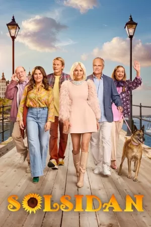 《阳光地带》海报