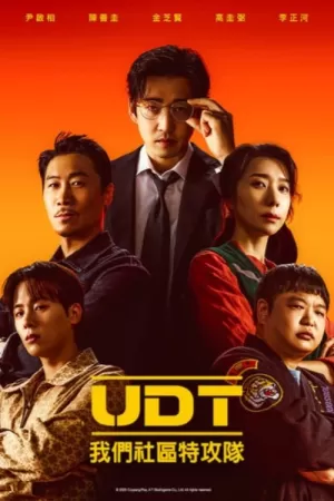 《UDT：我们社区特工队》海报