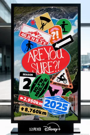 《你确定吗？！》海报