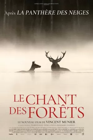《Le chant des forêts》海报