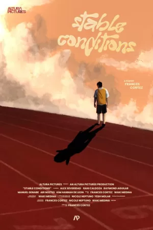 《Stable Conditions》海报