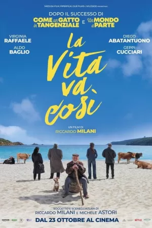 《La vita va così》海报