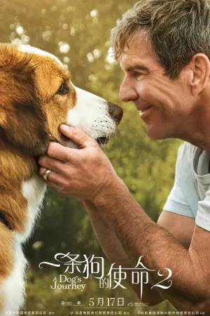 《一条狗的使命2》海报