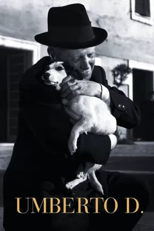 《风烛泪》海报