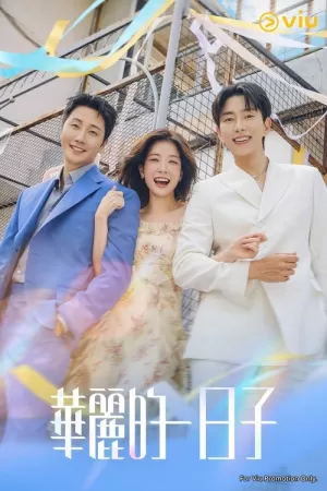 《华丽的日子》海报
