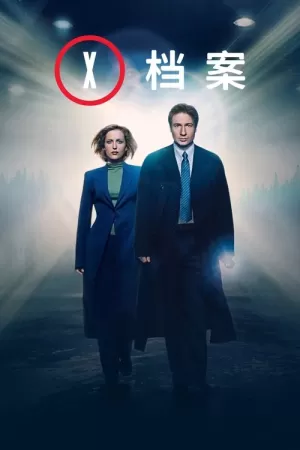 《X档案》海报