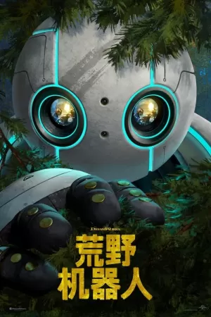 《荒野机器人》海报