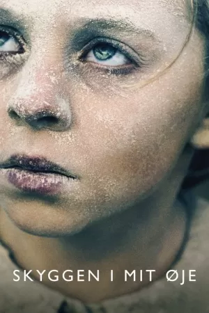 《我眼中的阴影》海报