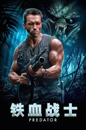 《铁血战士》海报