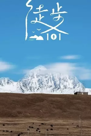 《徒步101》海报